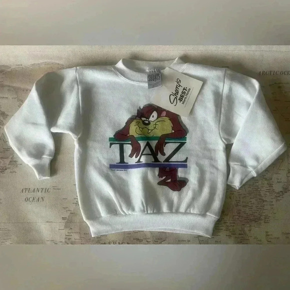 Vintage Other - 🆕Vintage Taz Looney Tunes Fleece Sweatshirt